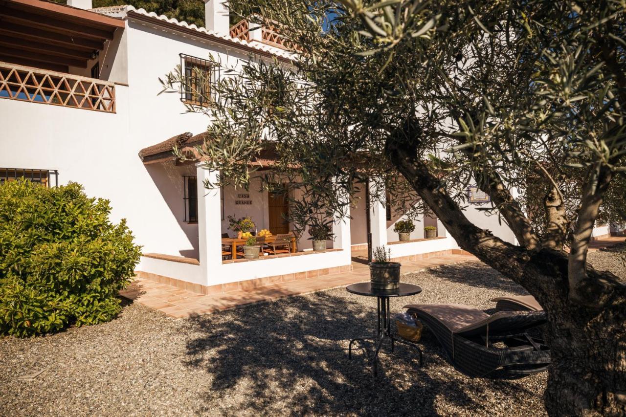 פיסארה Casa Grande / Rosas Cantares מראה חיצוני תמונה