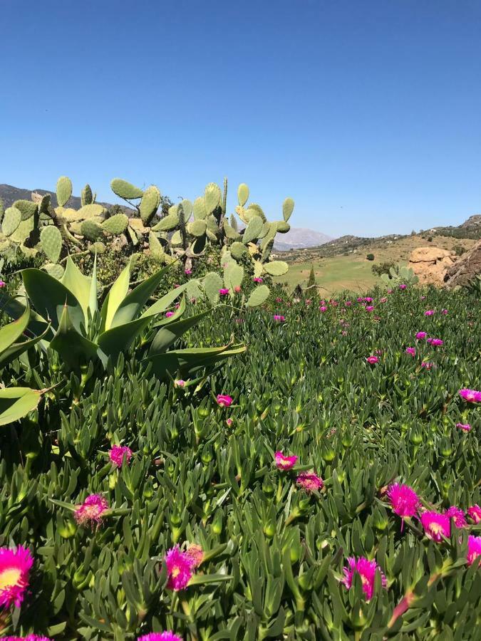 פיסארה Casa Grande / Rosas Cantares מראה חיצוני תמונה